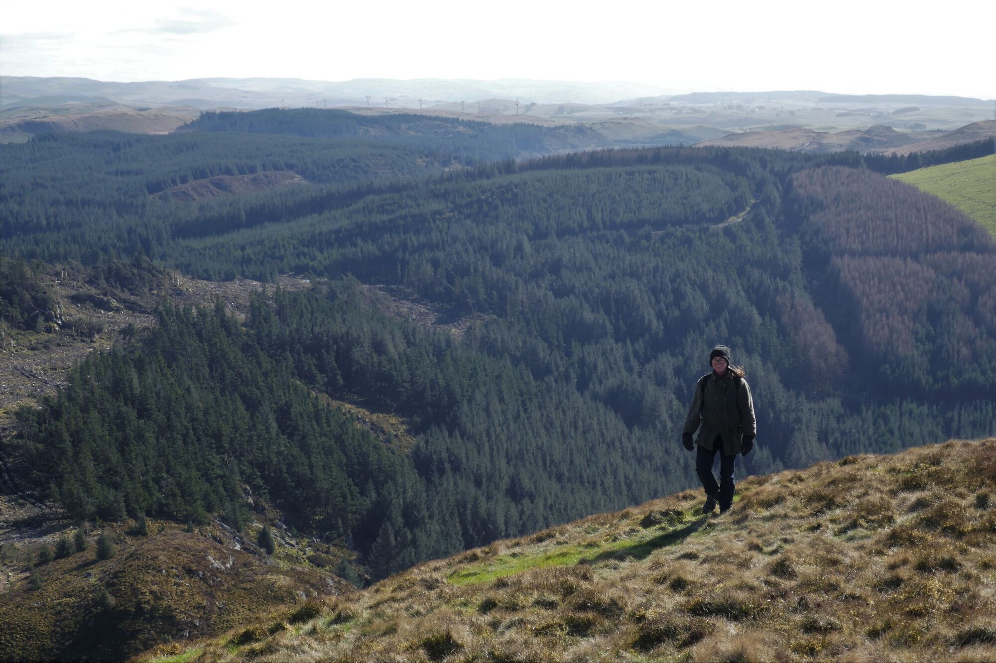 RachelSeabrook.net | Wild Walking | Cwm Cyneiniog and Craig y Pistyll | pic38